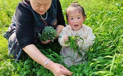 日韩一卡2卡3卡4卡新区免费